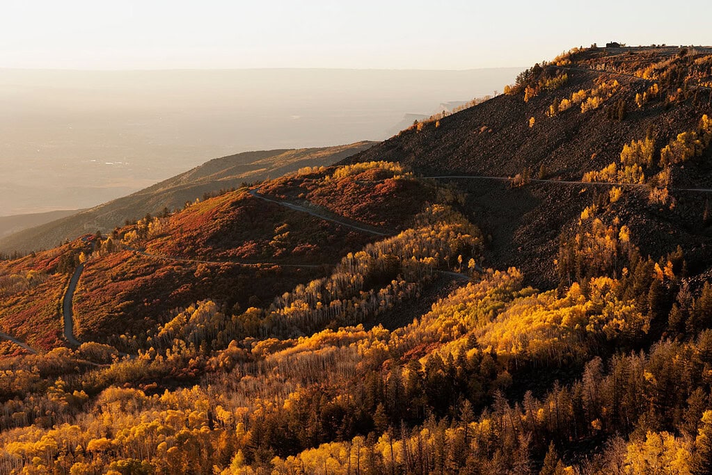 mountain ridge covered in yellow aspens at sunset