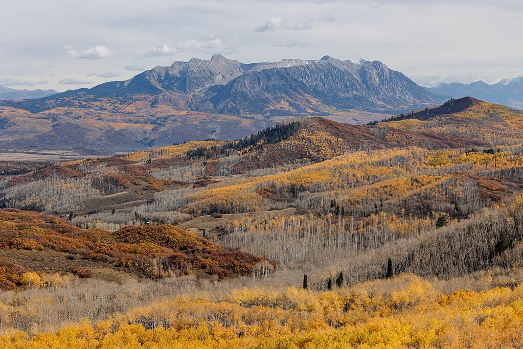 a valley filled with aspen trees covered in gold leaves with the Rocky Mountains in the background