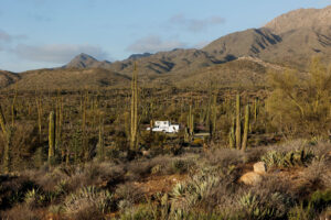 Baja Day 4: Rancho Grande to A Cactus Wonderland