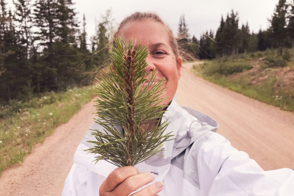 Woman smiles holding pine branch, gravel road, pine trees, off-grid boondocking overlanding adventure.