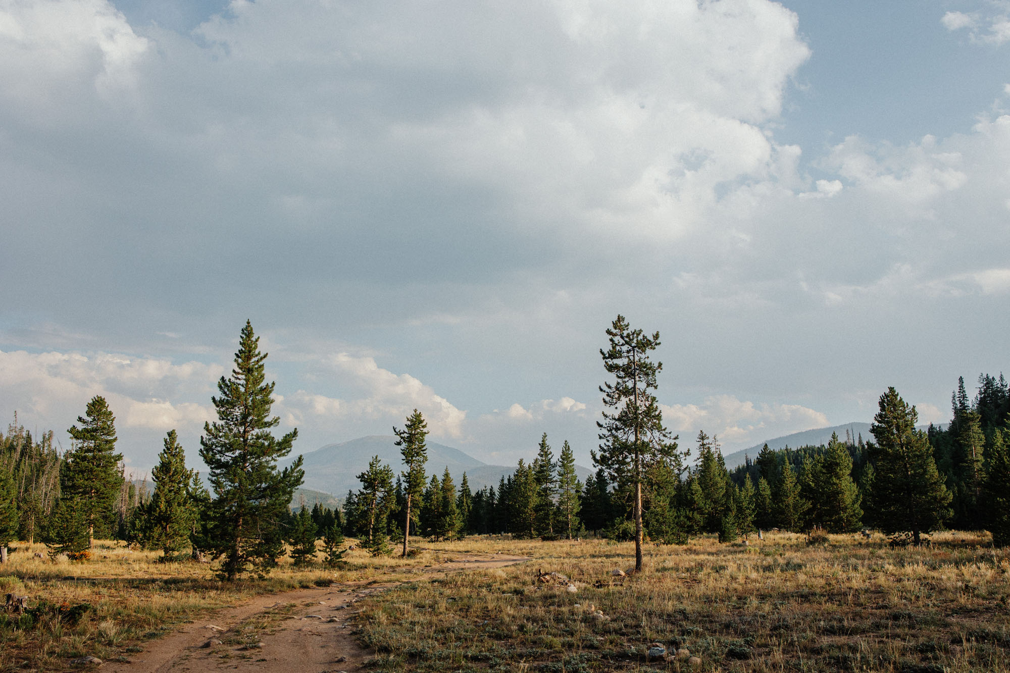 Notes From The Road #25: We accidentally backed ourselves into a corner
